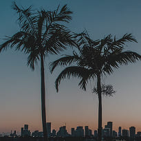 Miami skyline